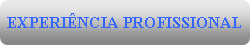Rectngulo arredondado: EXPERINCIA PROFISSIONAL